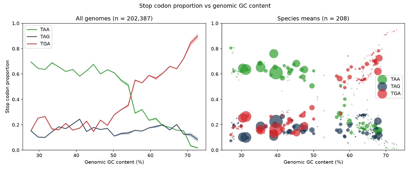 Two panels. Left: binned trend lines for TAA, TAG and TGA against genomic GC content across all genomes. Right: species means for the same three codons, sized by number of genomes.