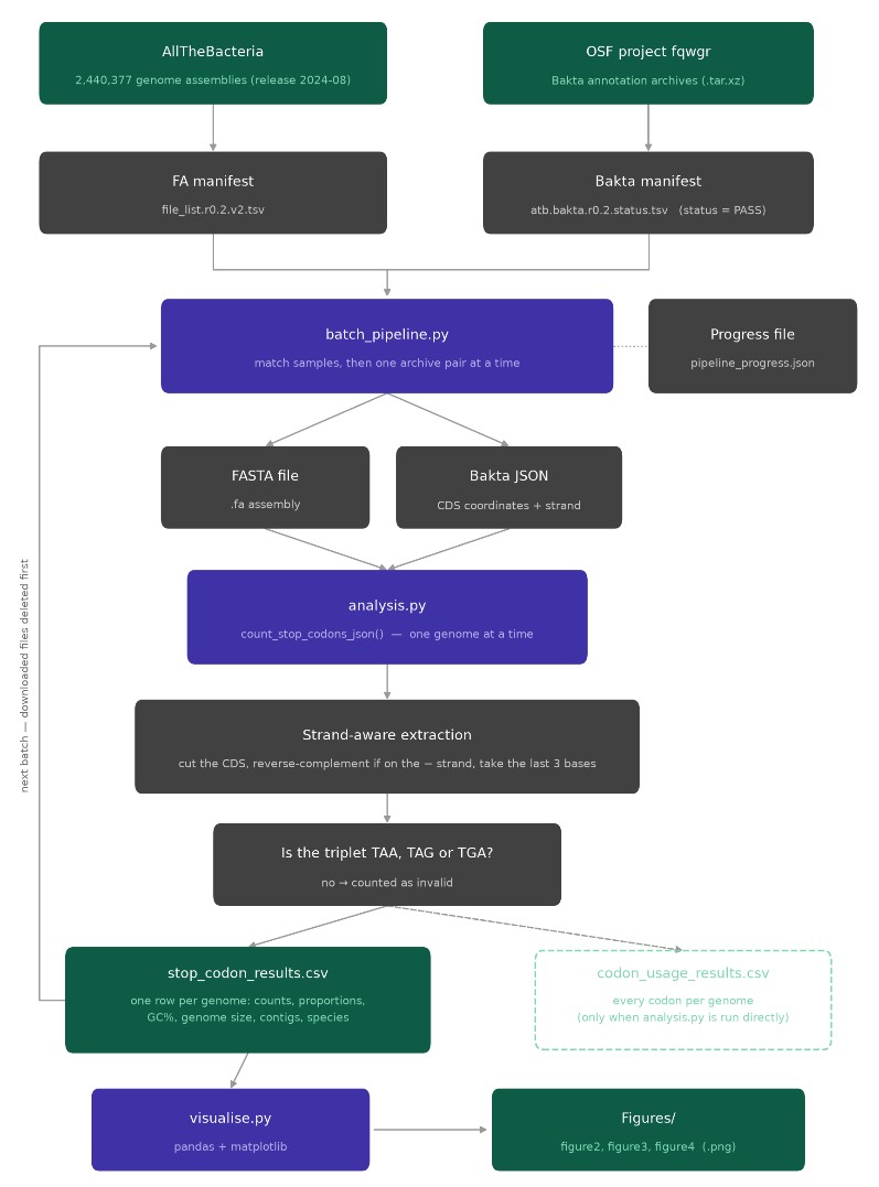 Flow diagram: AllTheBacteria and OSF archives feed manifests, which feed batch_pipeline.py, which pairs FASTA and Bakta JSON into analysis.py, through strand-aware extraction and triplet validation, into a results CSV and then the figures.